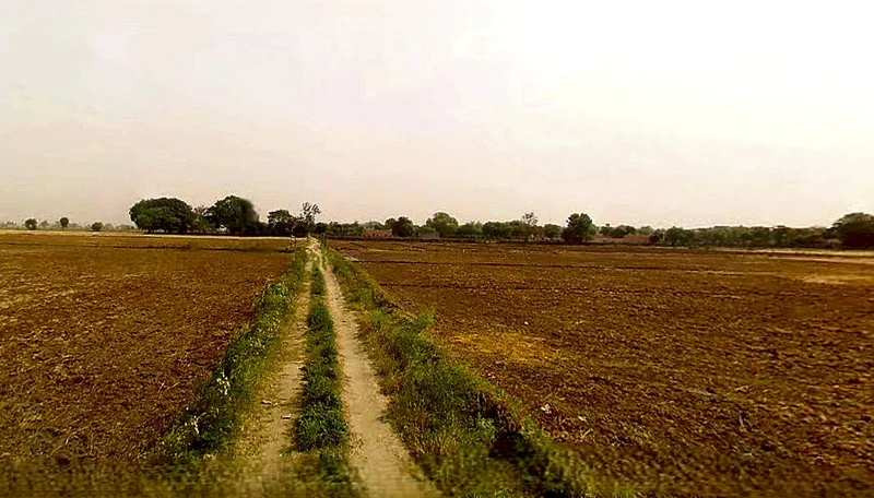 Jewar, Uttar Pradesh 203135, India preview 2