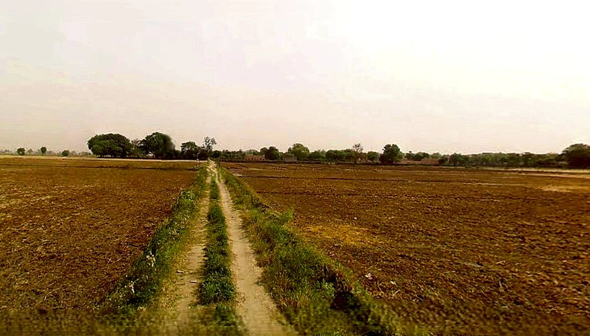 Jewar, Uttar Pradesh 203135, India
