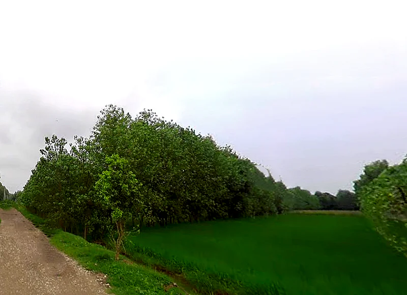 Chataki, Uttar Pradesh 247121, India preview 2