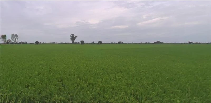 Jagdev Kalan, Punjab 143101, India