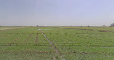 Varana, Gujarat 384245, India preview 2