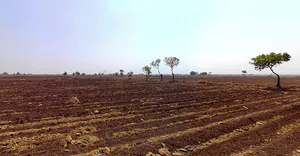 Ranipura, Gujarat, India preview 2