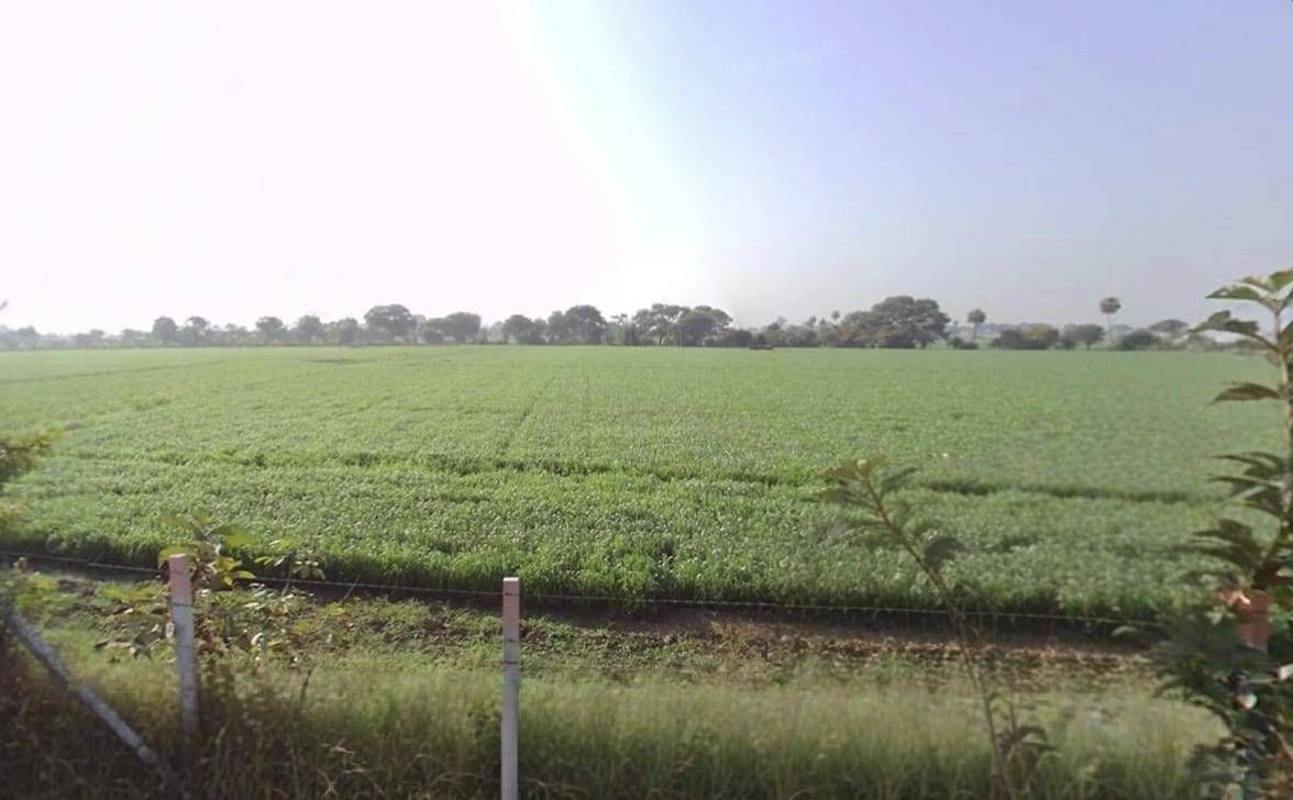 6RP2+GGR, Surasa, Madhya Pradesh 456006, India