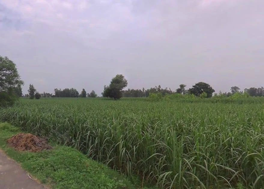 Tisang, Uttar Pradesh 251314, India