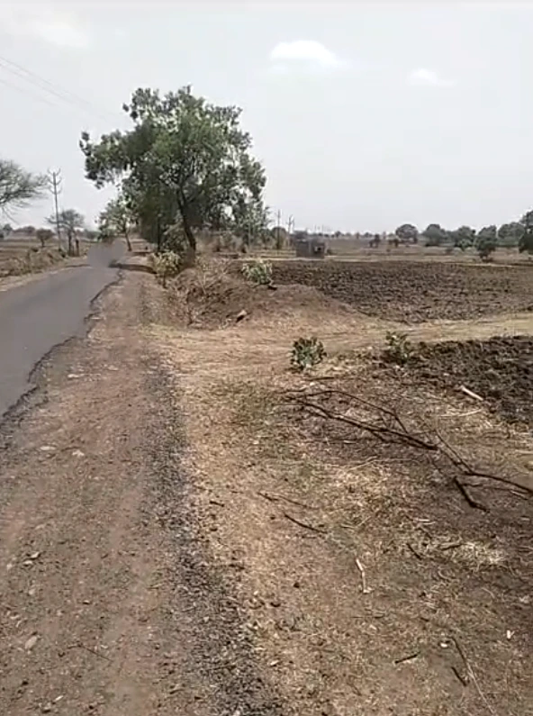 M57W+86P, Sikar, Bhojpur, Rajasthan, India