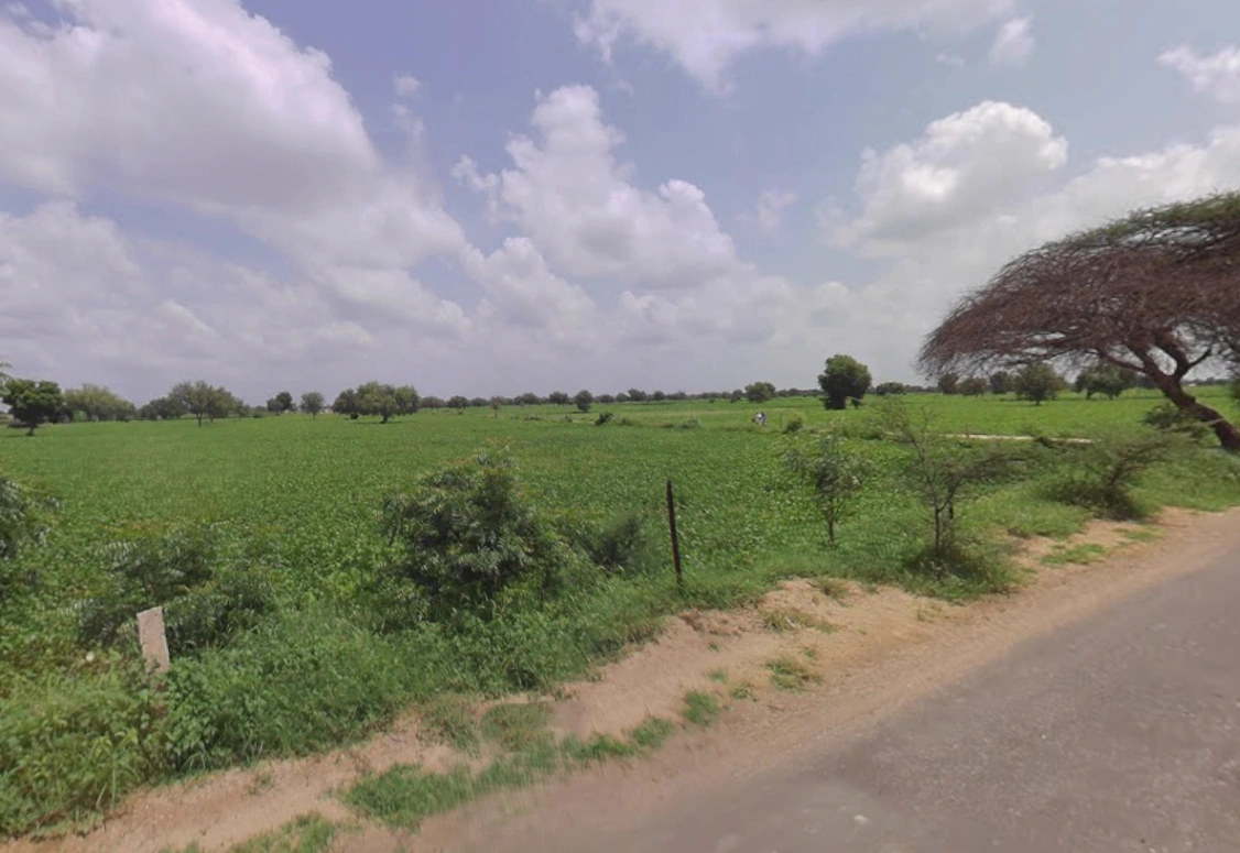 Balsamand, Haryana 125004, India