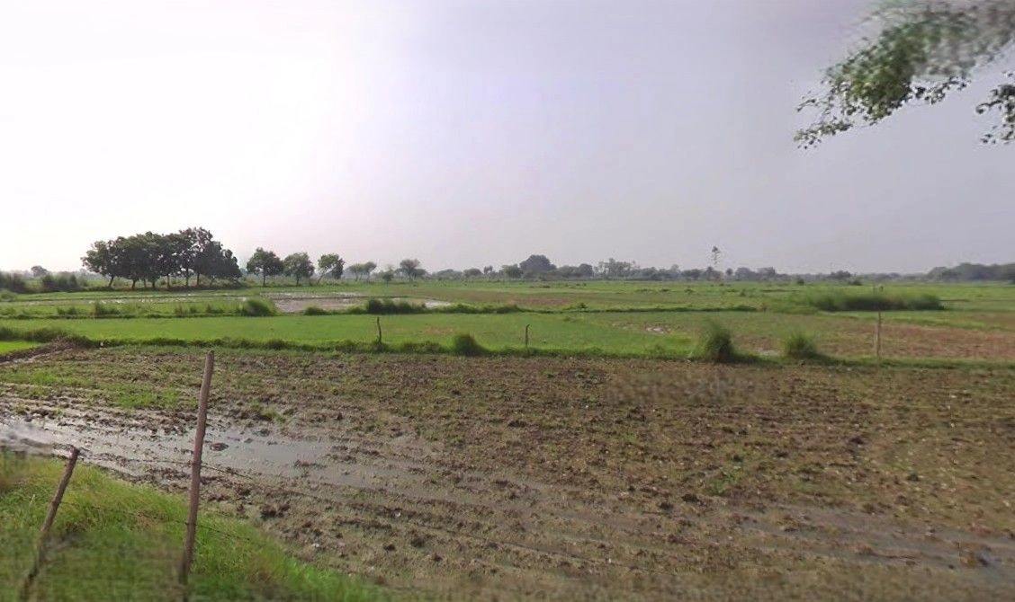 NH 47, Timarni, Madhya Pradesh 461228, India preview 3