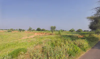 Satnali, Haryana 123024, India preview 2