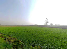 Mawana, Uttar Pradesh, India preview 2