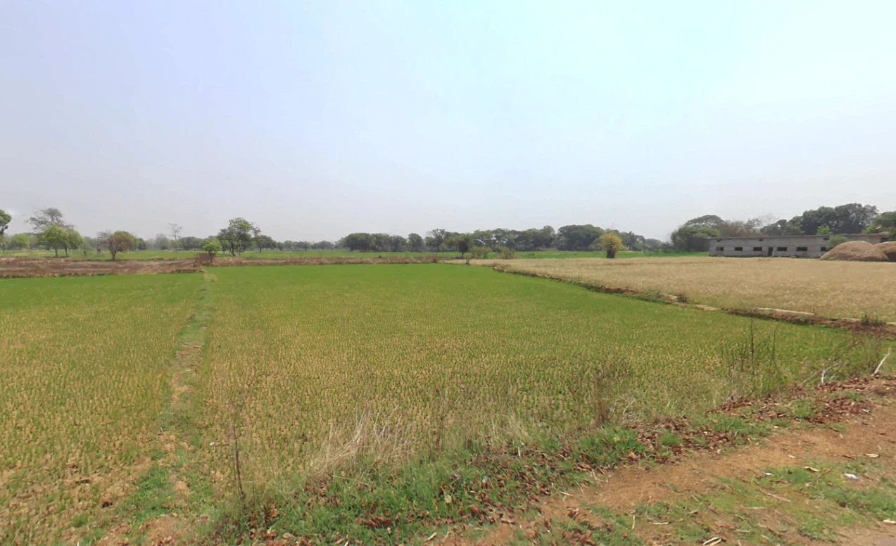 Raita, Chhattisgarh, India