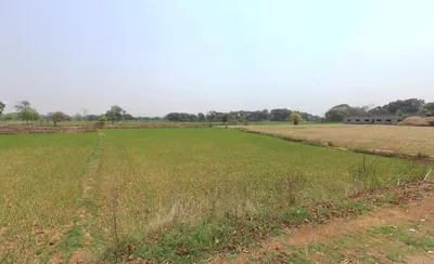 Raita, Chhattisgarh, India preview 3