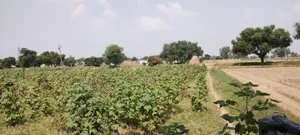 Semli, Rajasthan, India preview 3