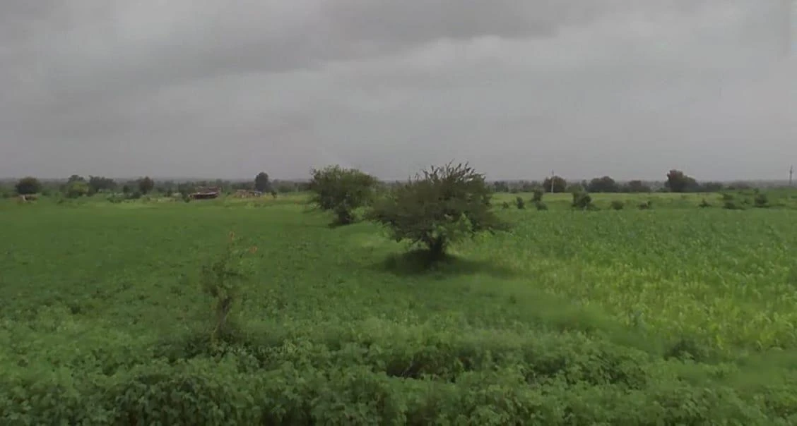 X3FP+25F, Dewas, Madhya Pradesh 455001, India