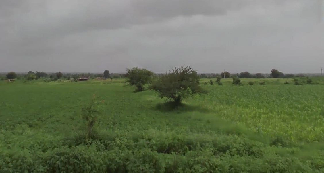 X3FP+25F, Dewas, Madhya Pradesh 455001, India