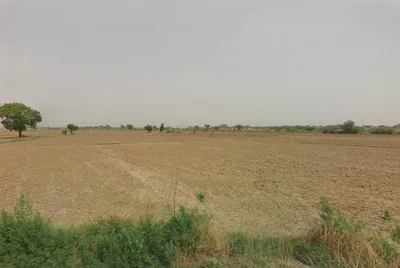 Sector 4, Pataudi, Chhawan, Haryana 122503, India preview 3