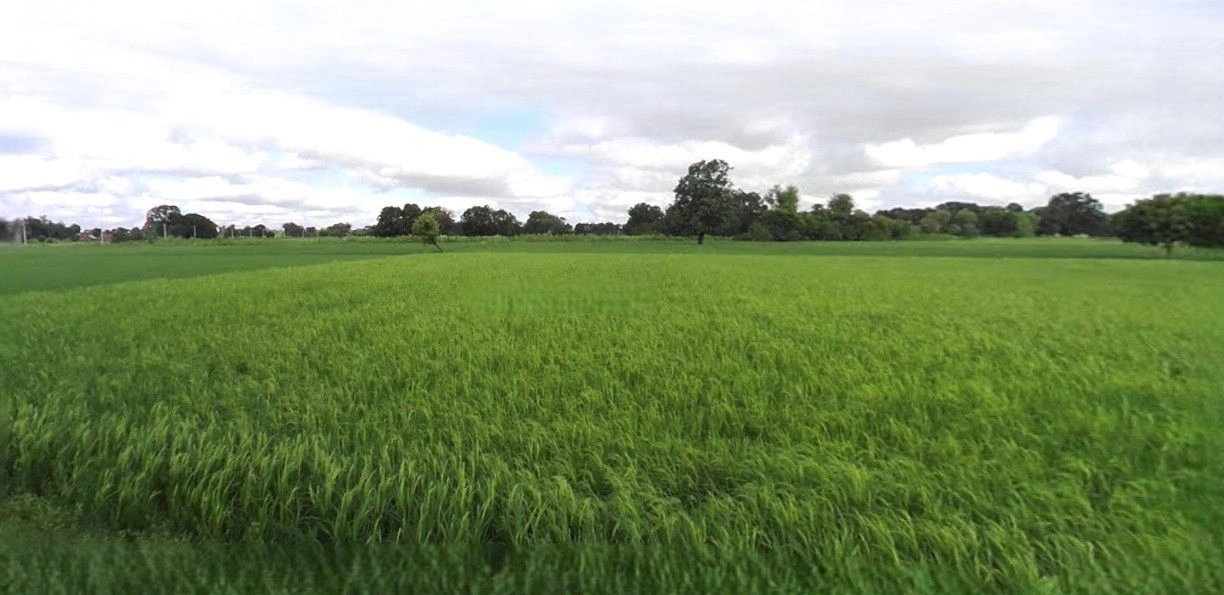 Haidargarh, Uttar Pradesh 225124, India