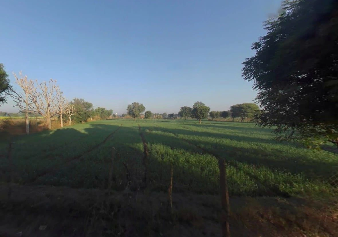 Nahariya ka bass, PV64+J4X, Jai Anandpura, Rajasthan 303903, India