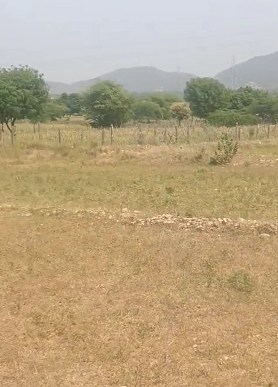 Godiyawas, Ajmer, Rajasthan 305023, India - Photo 2