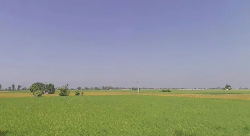 Patran, Punjab 147105, India preview 2