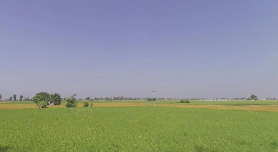 Patran, Punjab 147105, India