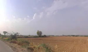 Badakhera, Rajasthan 323603, India preview 3