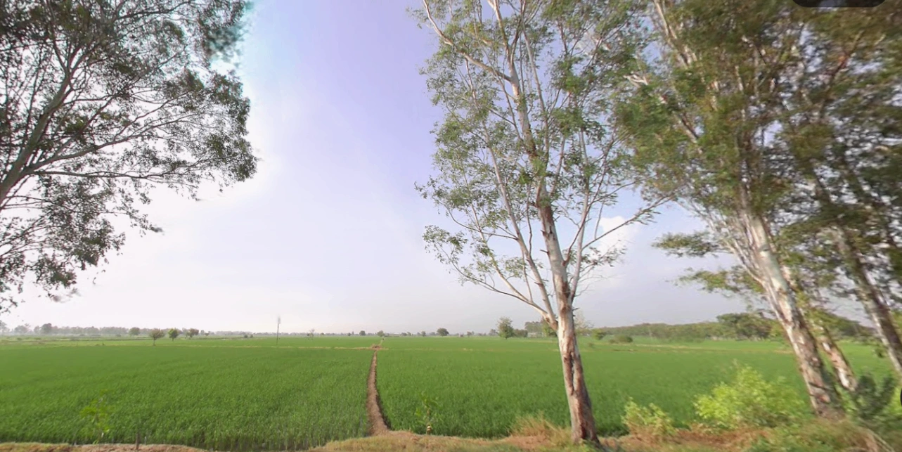 Budge Budge, Kolkata, West Bengal, India