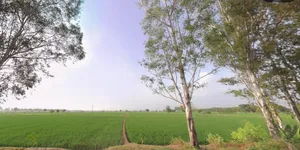 Budge Budge, Kolkata, West Bengal, India preview 2