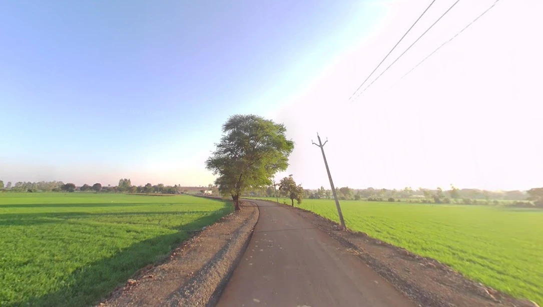 Suraiya, Madhya Pradesh 483105, India