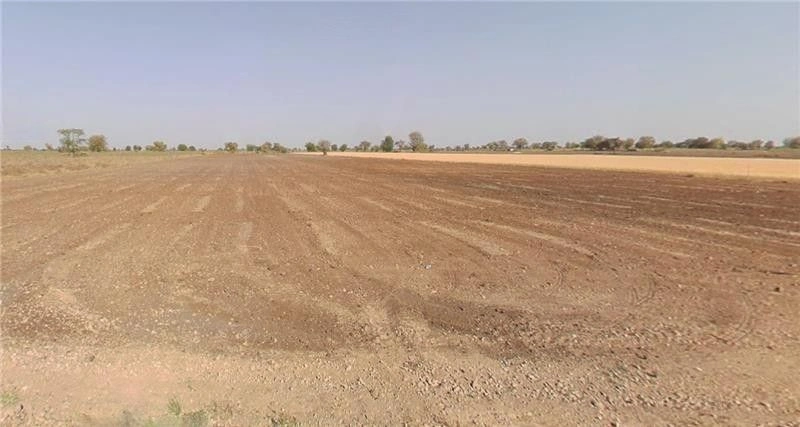 X8P4+FX8, Shirgaon, Maharashtra 415203, India