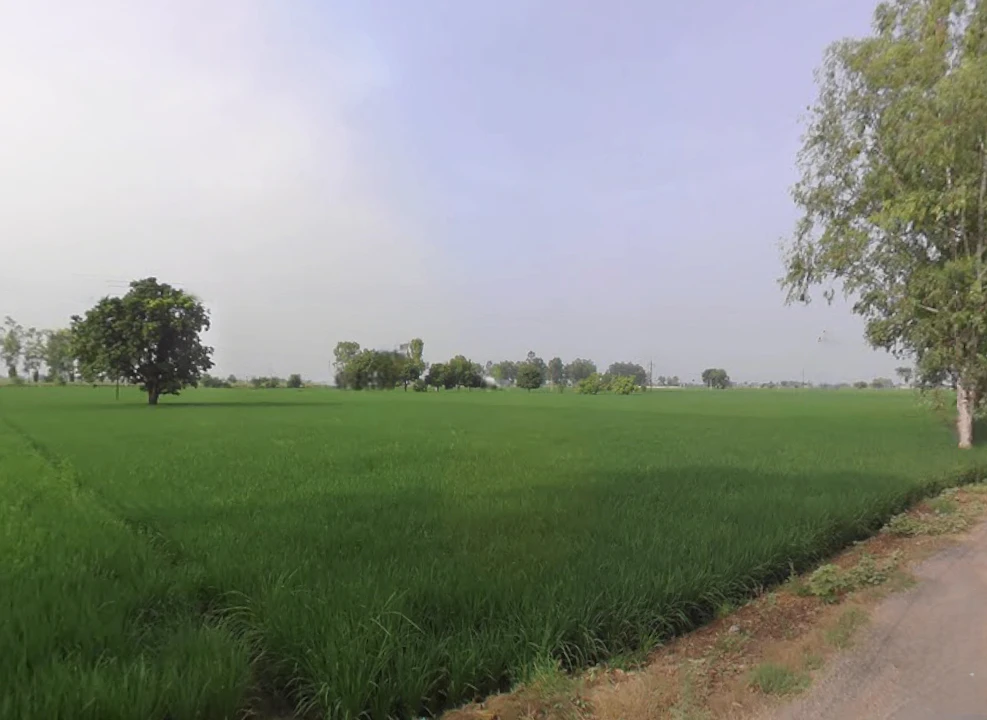 Junani, Odisha 768222, India