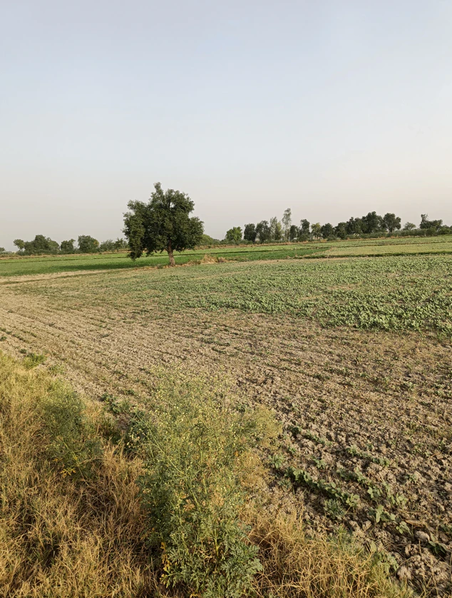 Mall Rd, Ludhiana, Punjab 141001, India