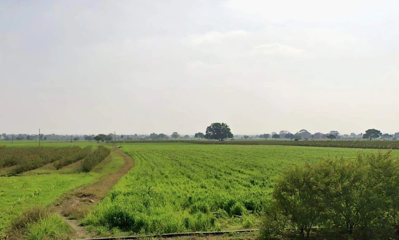 PPPV+2HH, Pipalya Tafa, Madhya Pradesh 453112, India preview 2