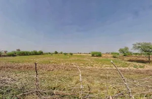 CGGH+CX Sitarampura, Rajasthan, India preview 3