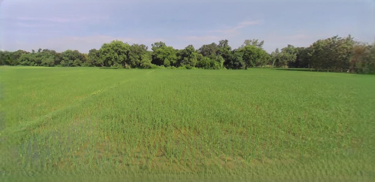 Suratgarh, Rajasthan 335804, India
