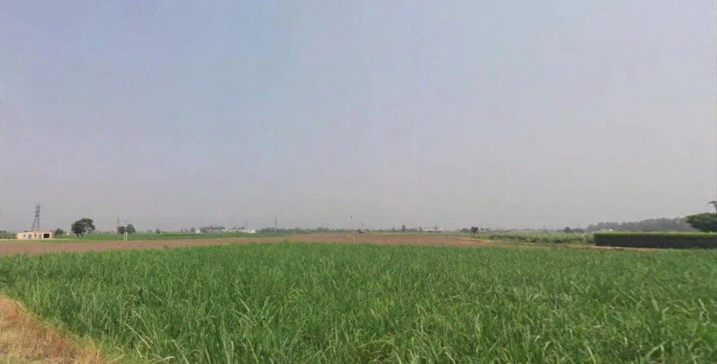 Hibana, Haryana 136135, India
