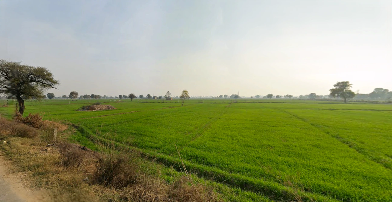 Hansi, Haryana 125033, India