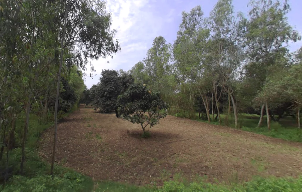 4GPW+392, Dabkora, Uttar Pradesh 247121, India preview 2