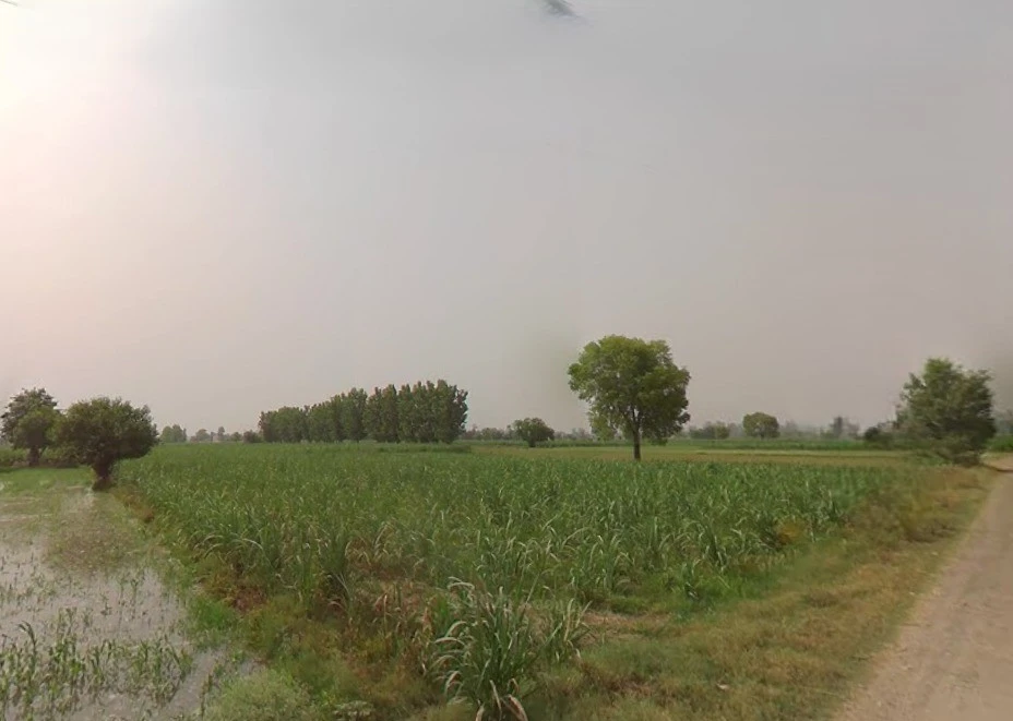 Murlipur, Uttar Pradesh 250004, India
