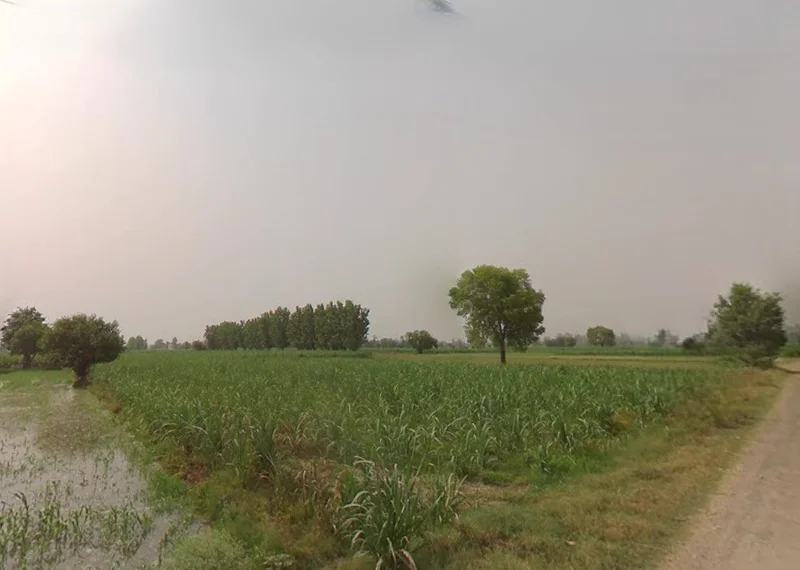 Murlipur, Uttar Pradesh 250004, India preview 2