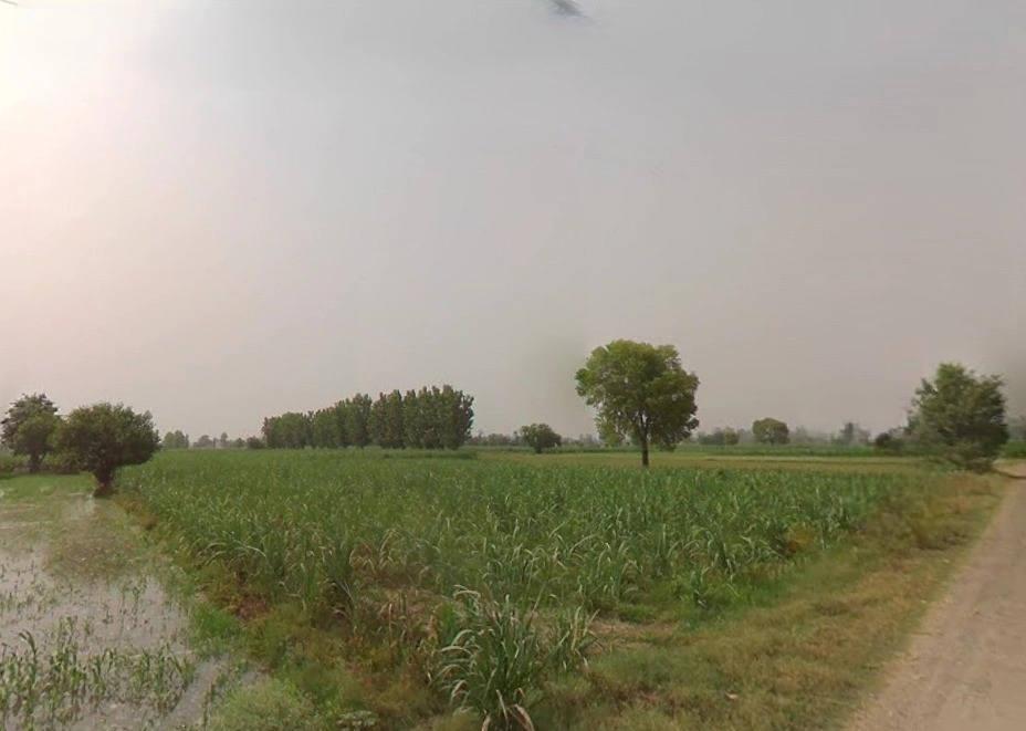 Murlipur, Uttar Pradesh 250004, India