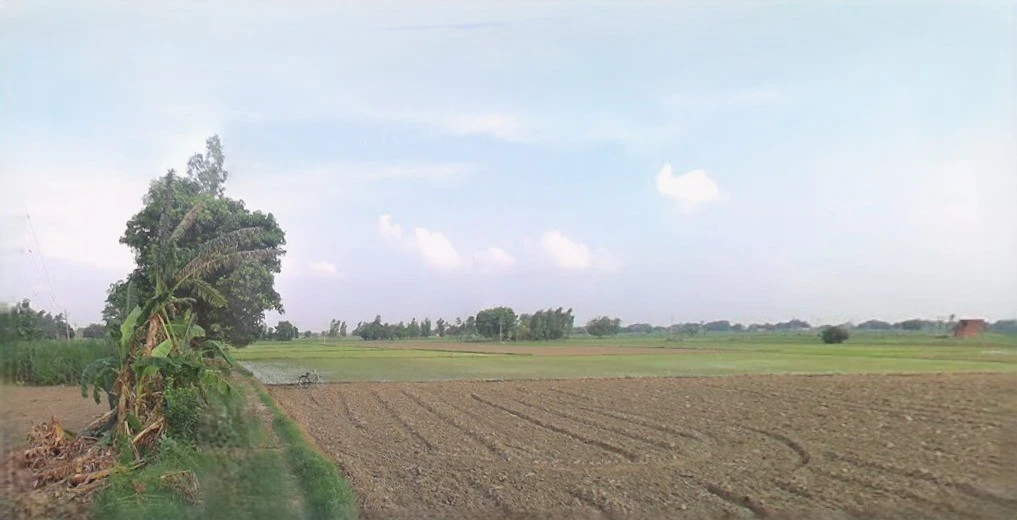 Bijnor, Uttar Pradesh 246701, India