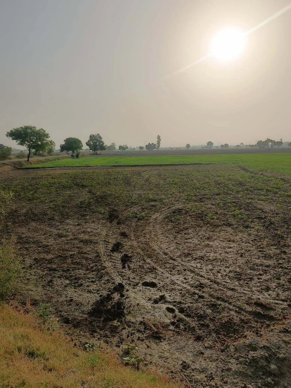 Tentigaon, Uttar Pradesh, India