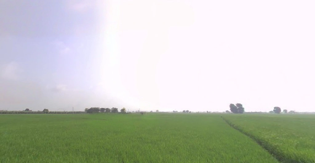 Jundla, Haryana 132036, India