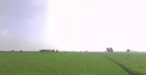 Jundla, Haryana 132036, India preview 2