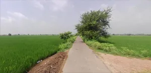 WG64+2MV, VILL, Thana, Haryana 136030, India preview 4