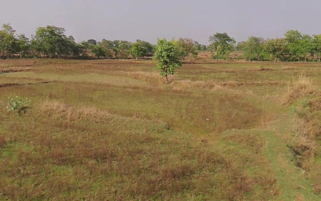 Mandlor, Chhattisgarh 493661, India