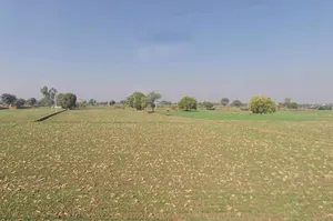 Talera, Rajasthan 323021, India preview 2