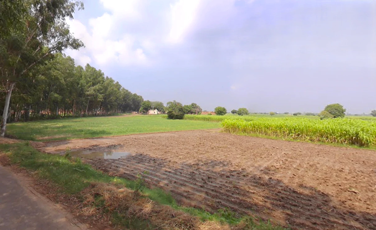 Kinana, Haryana 126114, India