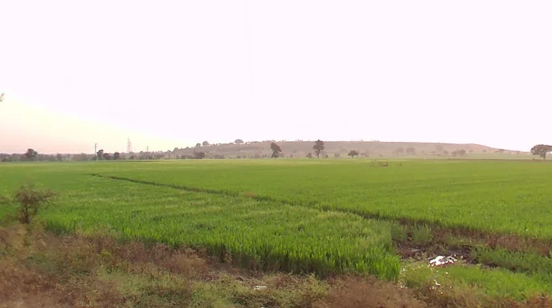 Kuwariya, Madhya Pradesh, India preview 2