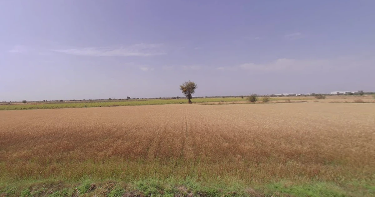 Viramgam, Gujarat 382150, India